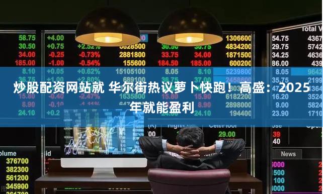 炒股配资网站就 华尔街热议萝卜快跑！高盛：2025年就能盈利
