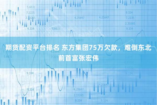 期货配资平台排名 东方集团75万欠款，难倒东北前首富张宏伟