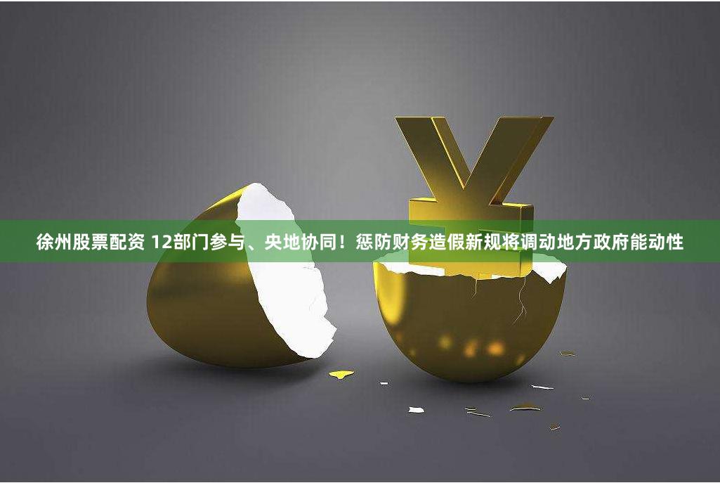 徐州股票配资 12部门参与、央地协同！惩防财务造假新规将调动地方政府能动性